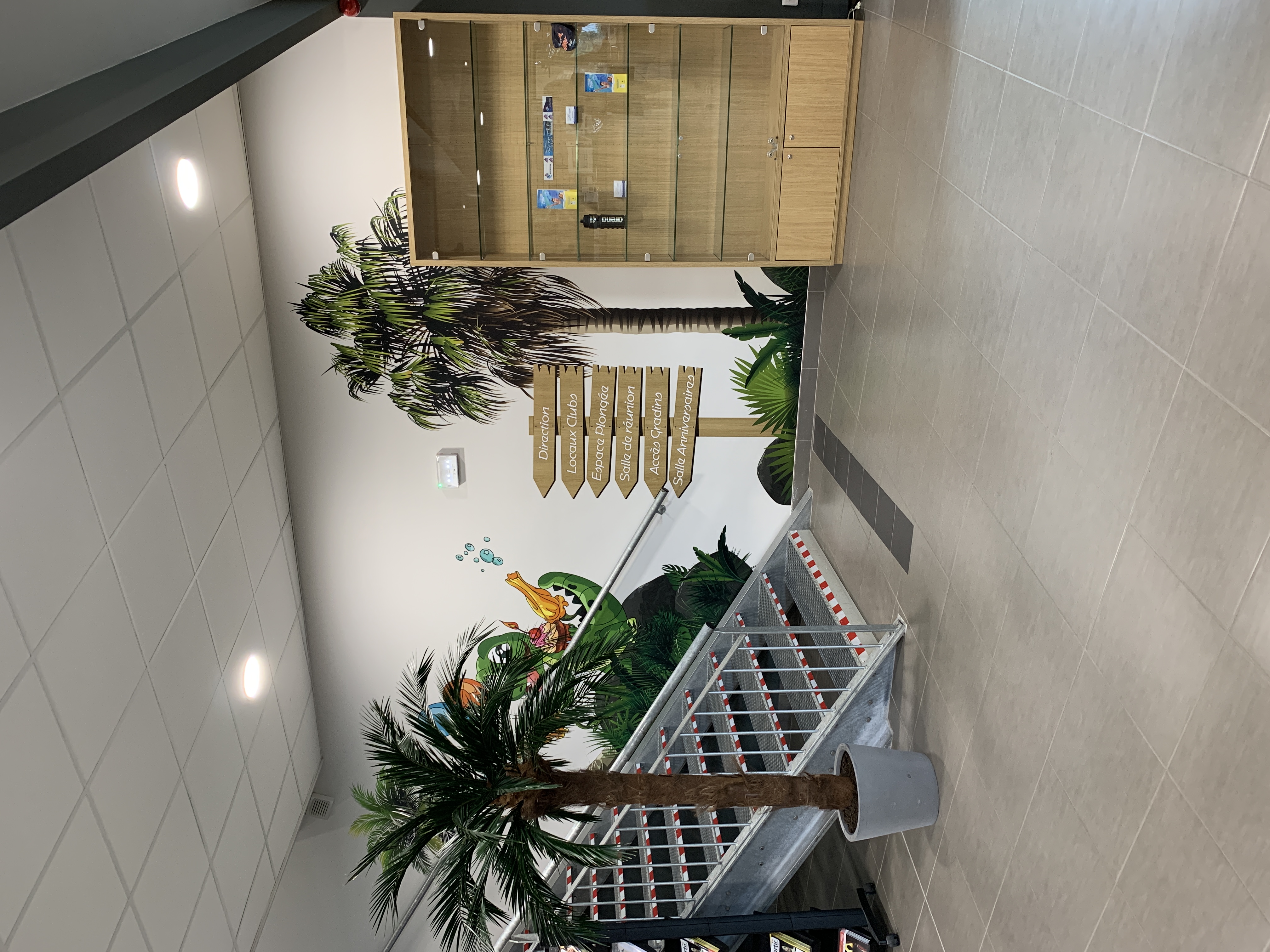 escalier piscine la vague après travaux